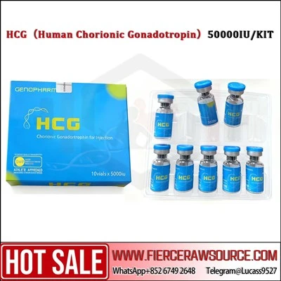 HCG （Gonadotropin Chorionic Daonna） 50000IU/KIT
